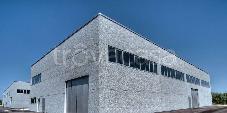 terreno agricolo in vendita a Beinasco