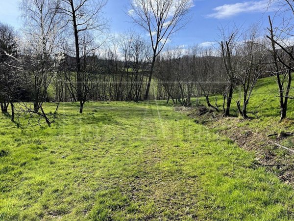 terreno agricolo in vendita a Bibiana