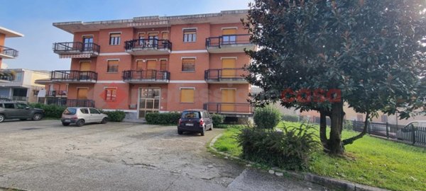 immagine annuncio 0 di 15