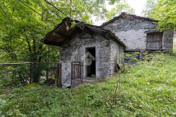 quadrivano in vendita a Bobbio Pellice