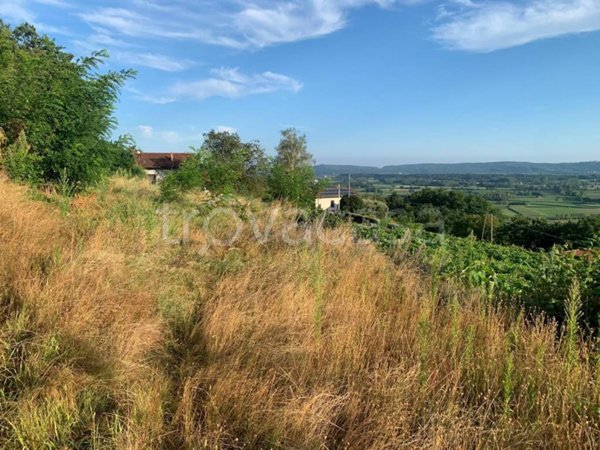 terreno agricolo in vendita a Bollengo