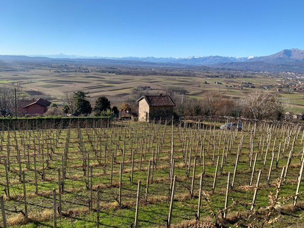 terreno edificabile in vendita a Bollengo