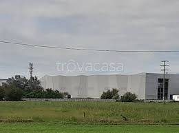 negozio in vendita a Borgaro Torinese