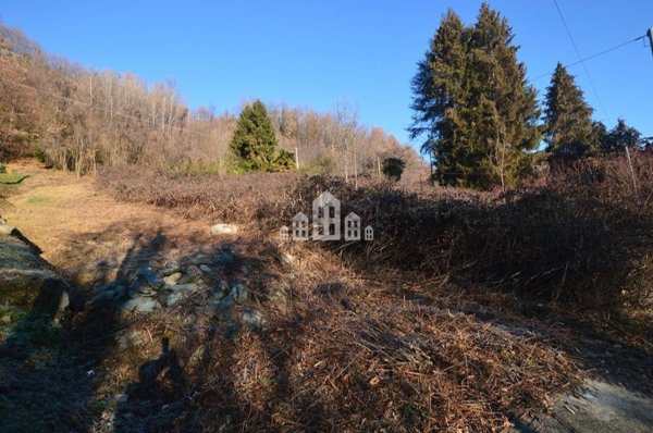 terreno edificabile in vendita a Borgiallo