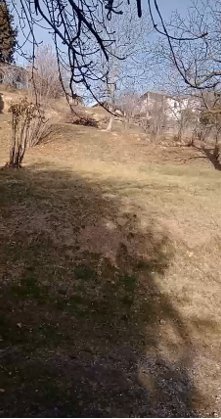 terreno agricolo in vendita a Borgiallo in zona Cossi