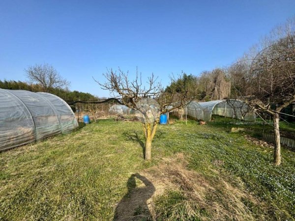 terreno agricolo in vendita a Brandizzo