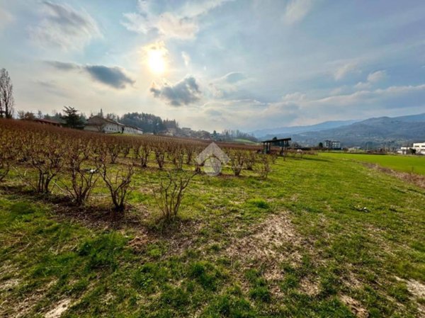 terreno agricolo in vendita a Bricherasio