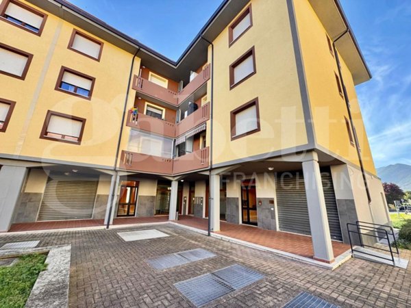 immagine annuncio 0 di 15