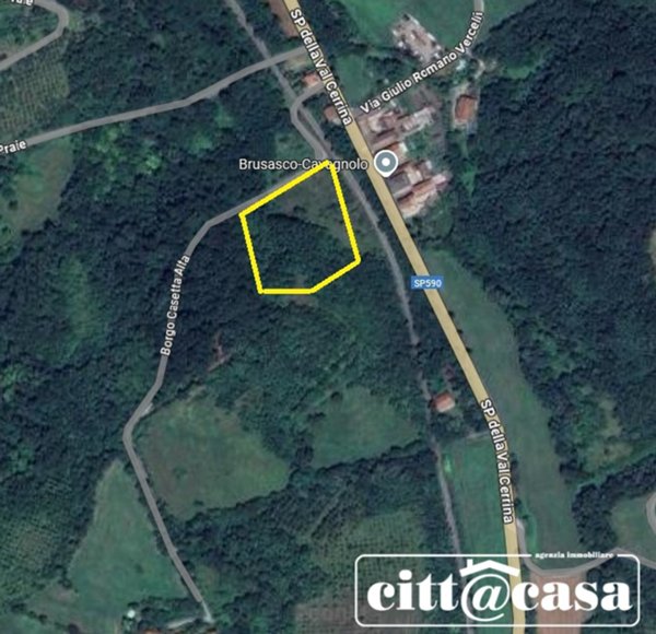 terreno agricolo in vendita a Brusasco