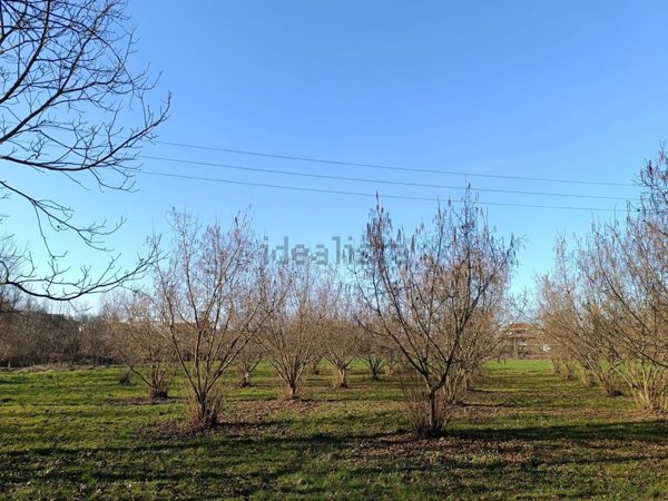 terreno edificabile in vendita a Brusasco