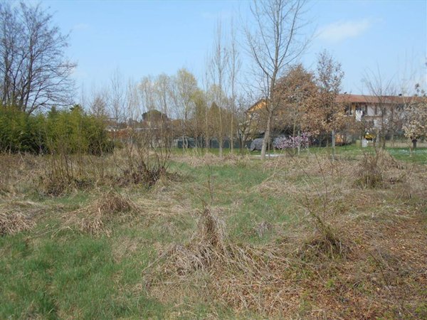 terreno agricolo in vendita a Brusasco