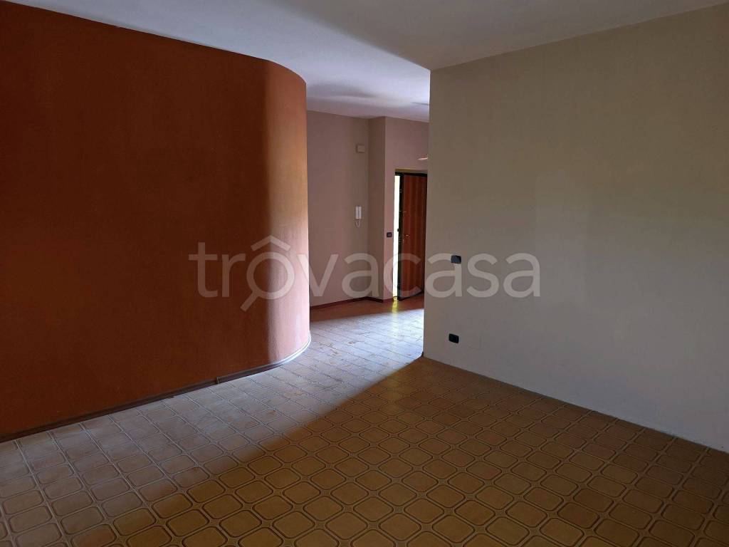 immagine annuncio 0 di 15