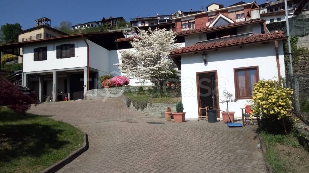 casa indipendente in vendita a Burolo