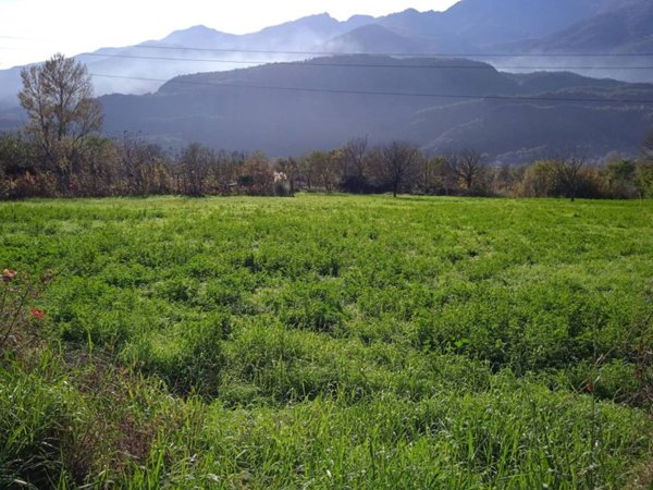 terreno agricolo in vendita a Bussoleno in zona Foresto