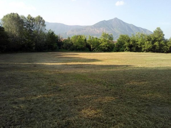 terreno agricolo in vendita a Buttigliera Alta in zona Ferriera