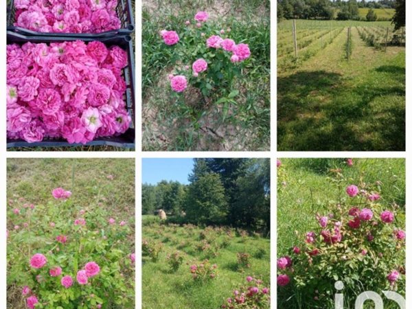 casa indipendente in vendita a Cafasse