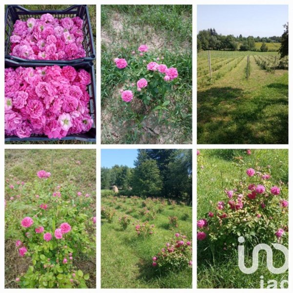 casa indipendente in vendita a Cafasse