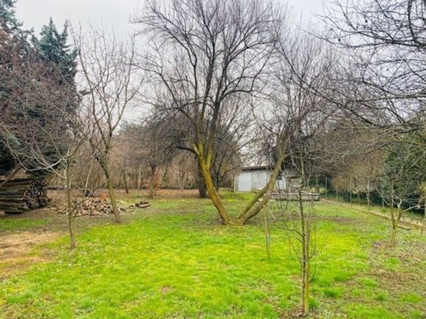 terreno agricolo in vendita a Caluso