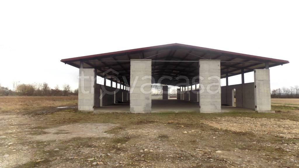 terreno agricolo in vendita a Caluso in zona Arè