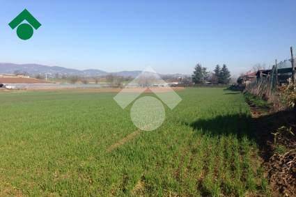 terreno agricolo in vendita a Cambiano