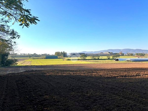 terreno edificabile in vendita a Cambiano