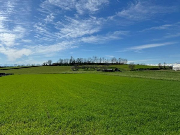 terreno agricolo in vendita a Cambiano