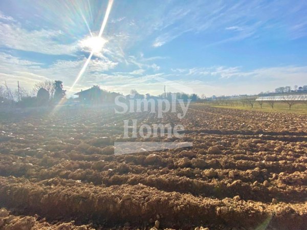 terreno agricolo in vendita a Cambiano
