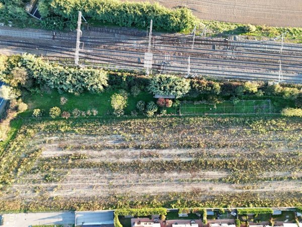 terreno agricolo in vendita a Cambiano