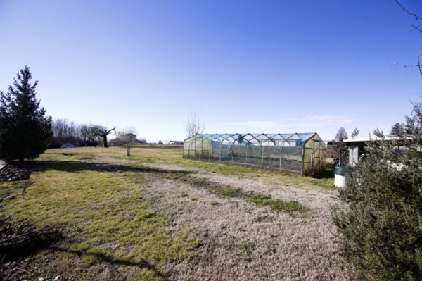casa indipendente in vendita a Cambiano