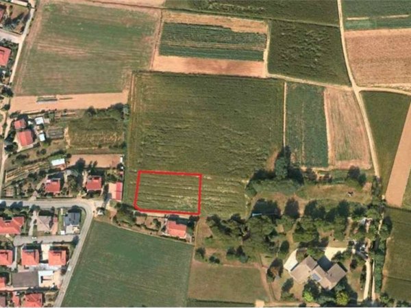 terreno agricolo in vendita a Cambiano