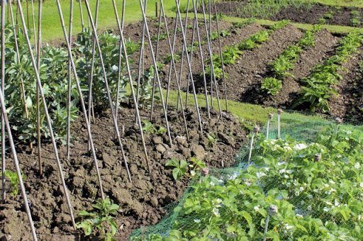 terreno agricolo in vendita a Campiglione Fenile