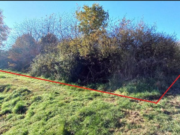 terreno agricolo in vendita a Candia Canavese