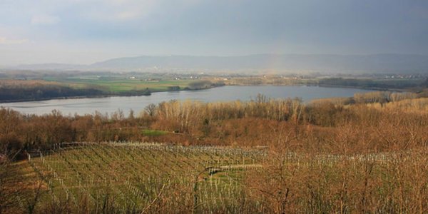 negozio in vendita a Candia Canavese