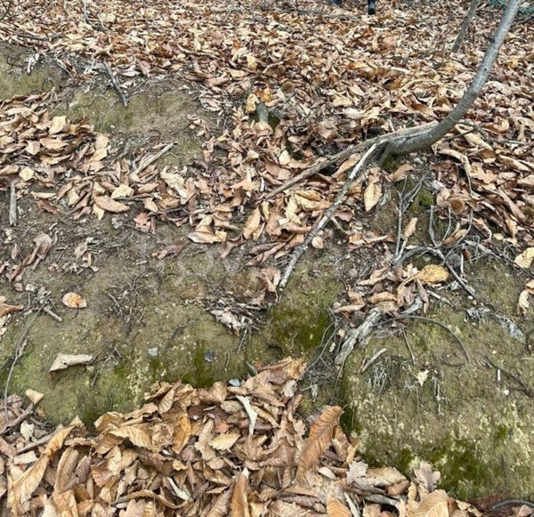 terreno agricolo in vendita a Cantalupa