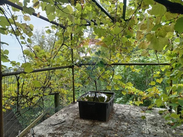 terreno agricolo in vendita a Cantalupa