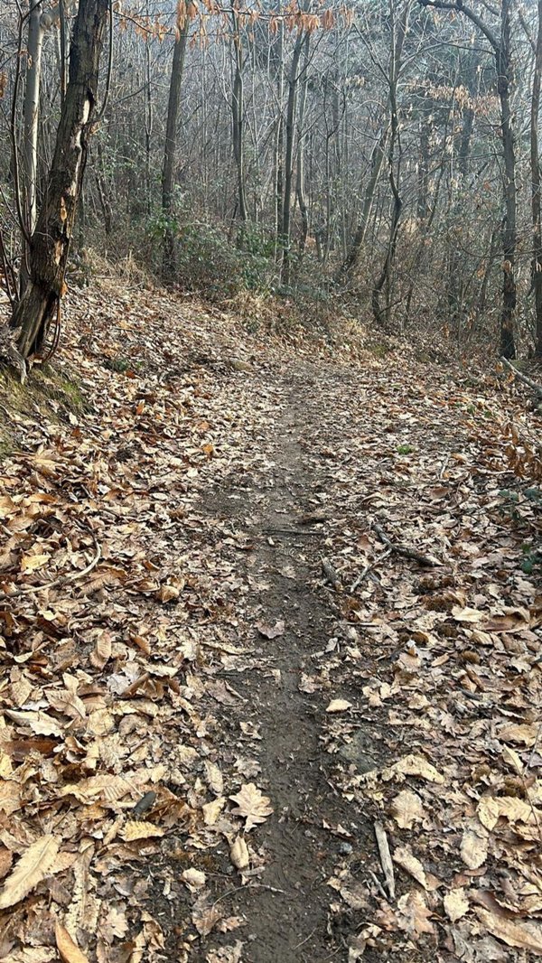 terreno agricolo in vendita a Cantalupa