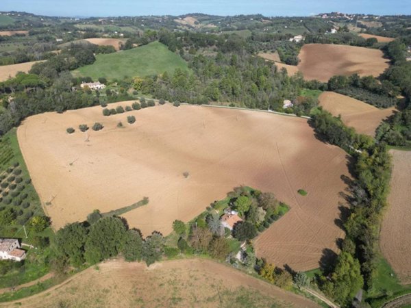 terreno agricolo in vendita a Carignano