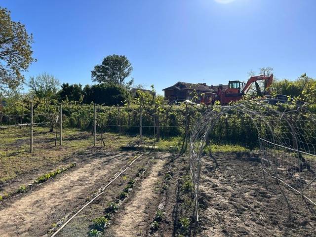 terreno agricolo in vendita a Carignano