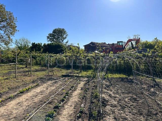 terreno agricolo in vendita a Carignano