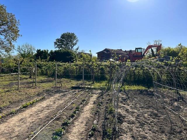 terreno agricolo in vendita a Carignano