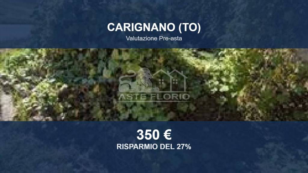 terreno agricolo in vendita a Carignano