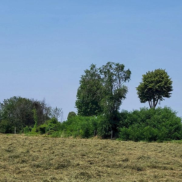 terreno agricolo in vendita a Carmagnola