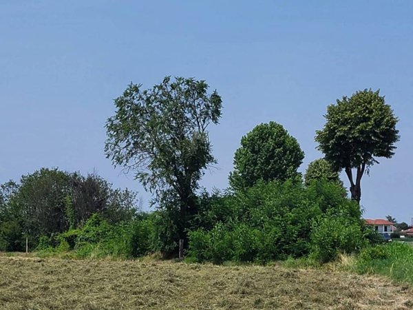 terreno agricolo in vendita a Carmagnola