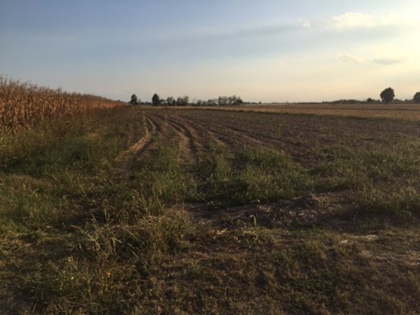terreno agricolo in vendita a Carmagnola in zona Tuninetti