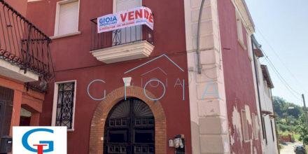 immagine annuncio 0 di 12