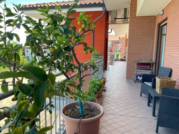appartamento in vendita a Carmagnola