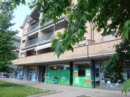 negozio in vendita a Carmagnola