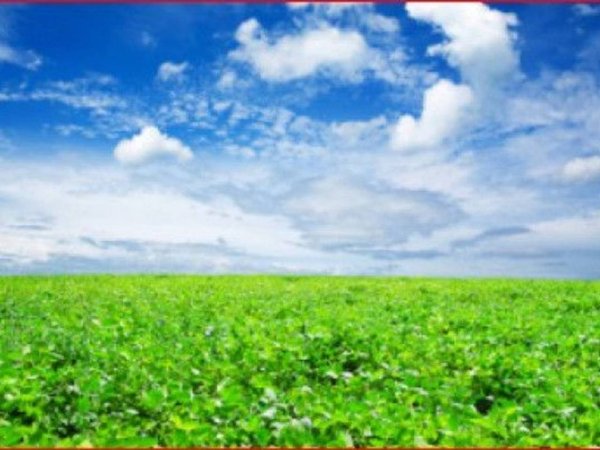 terreno agricolo in vendita a Carmagnola in zona Motta