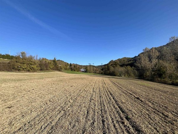 terreno agricolo in vendita a Casalborgone