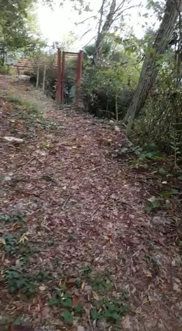 appartamento in vendita a Casalborgone